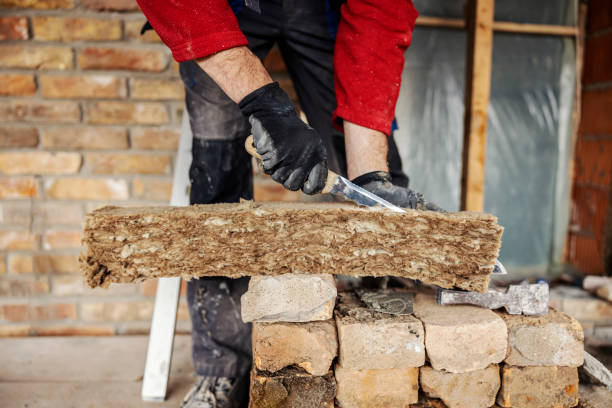 Best Local Insulation Services  in Swartz Creek, MI
