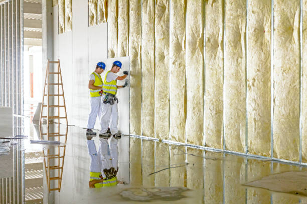 Best Insulation for New Construction  in Swartz Creek, MI